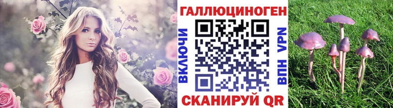 Галлюциногенные грибы GOLDEN TEACHER Морозовск